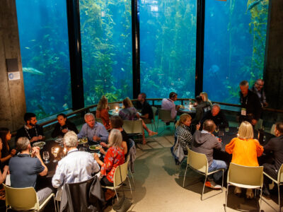 Dinning Table In Front Of Large Aquarium.