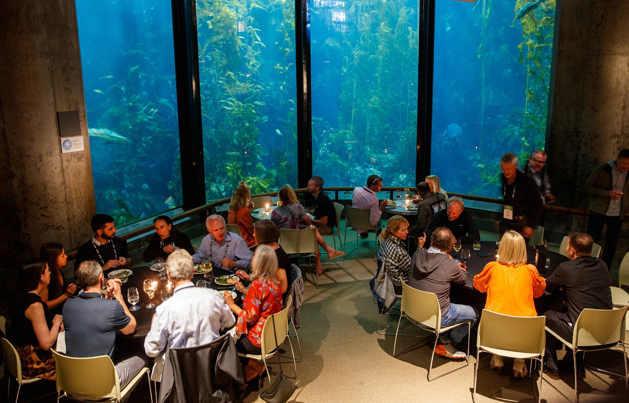 Dinning table in front of large aquarium.